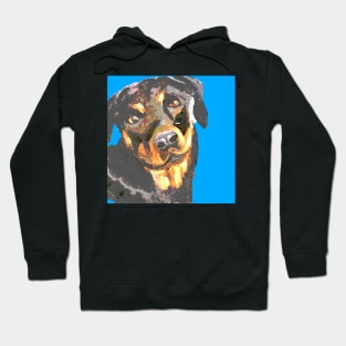 Rottweiler Hoodie